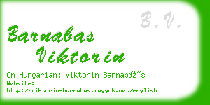 barnabas viktorin business card